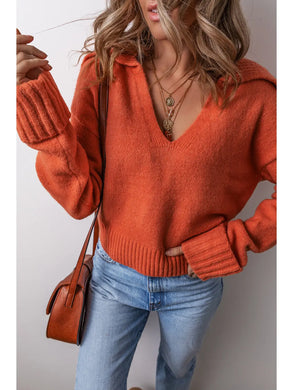 Harvest Flamingo Sweater 9/7