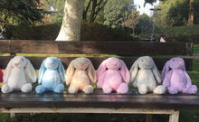 Plush Bunnies 2/23